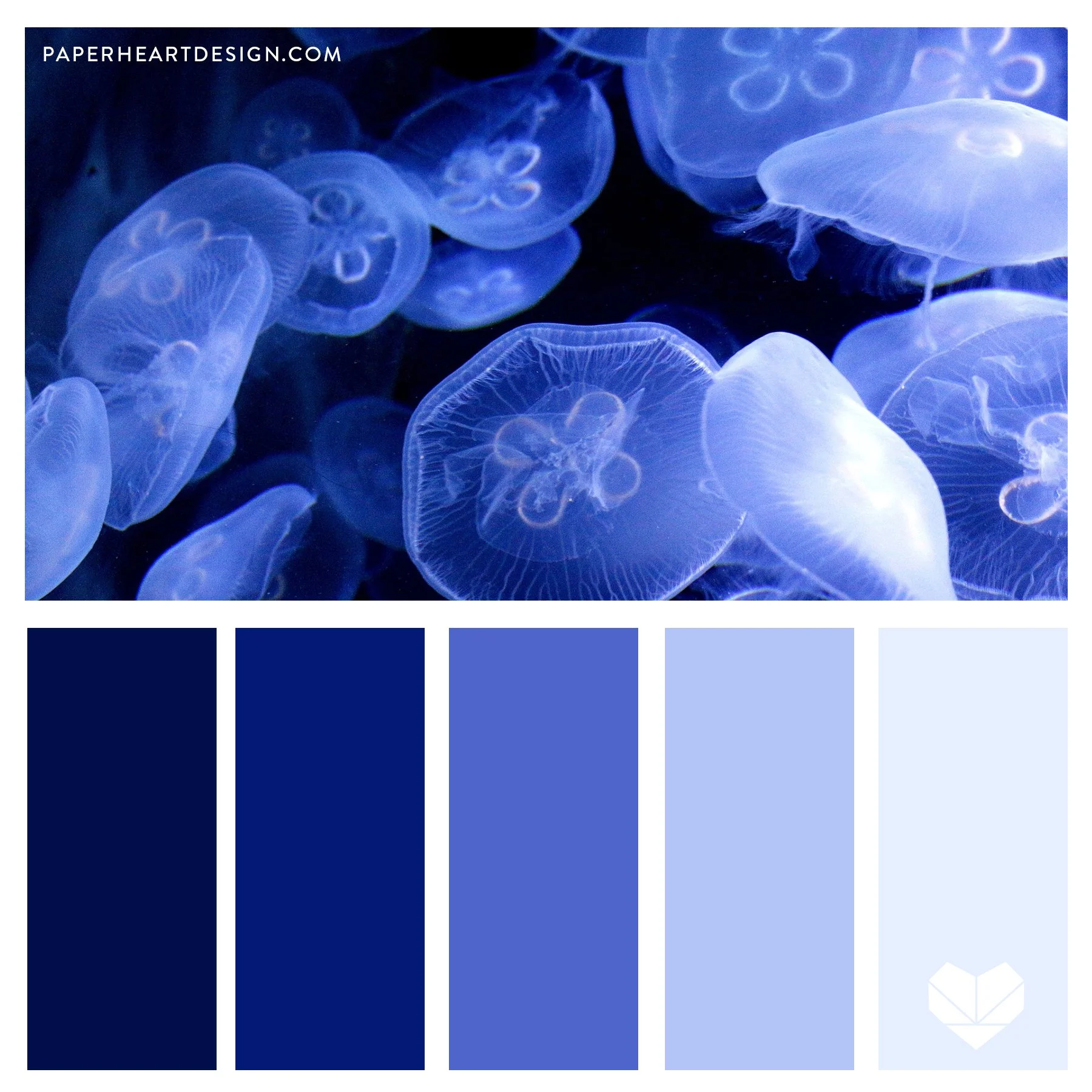Color Palette: Brilliant Jellyfish — Paper Heart Design Co.
